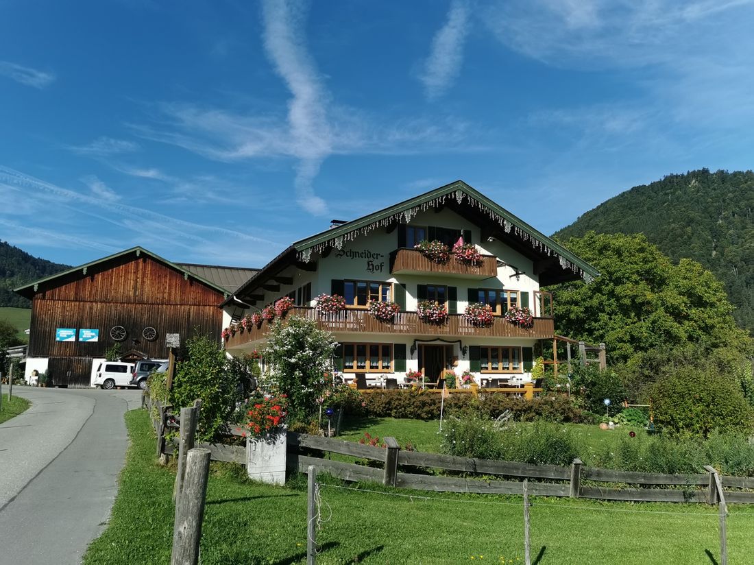 Bild Sommer