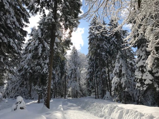 Tolle Winterwanderwege rund um Ruhpolding