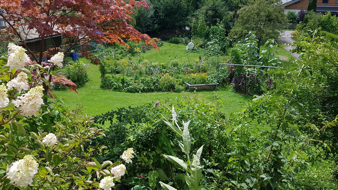 Blick in den Garten