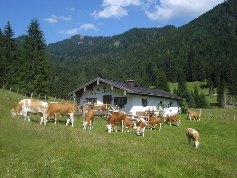 Unser Alm in Röthelmoos