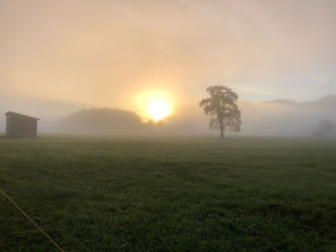 nebeliger Sonnenaufgang