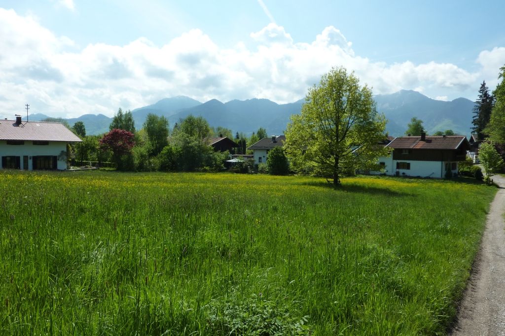 Bauernwiese am Haus