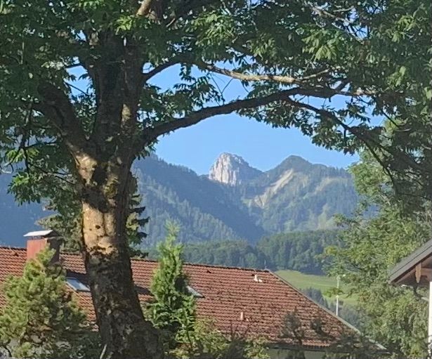Blick auf die Hörndlwand von unserer Schlafzimmerterasse