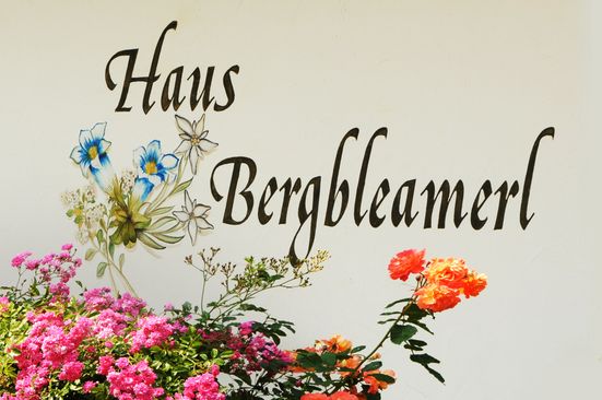 Haus Bergbleamerl