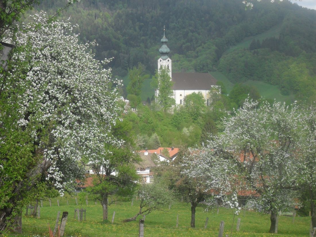 Ausblick zur Kirche