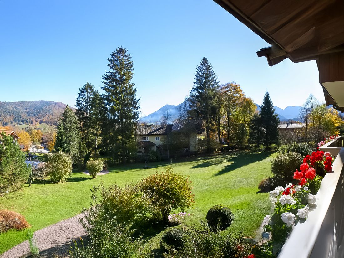 Blick in den Garten
