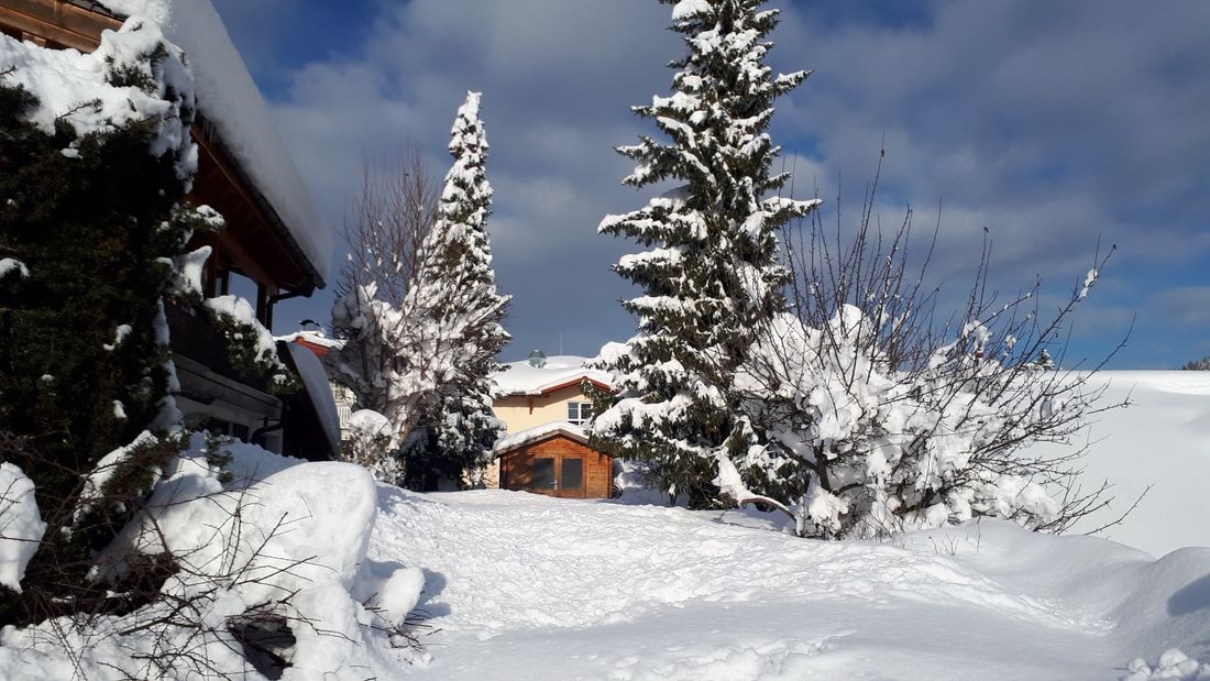 Winter