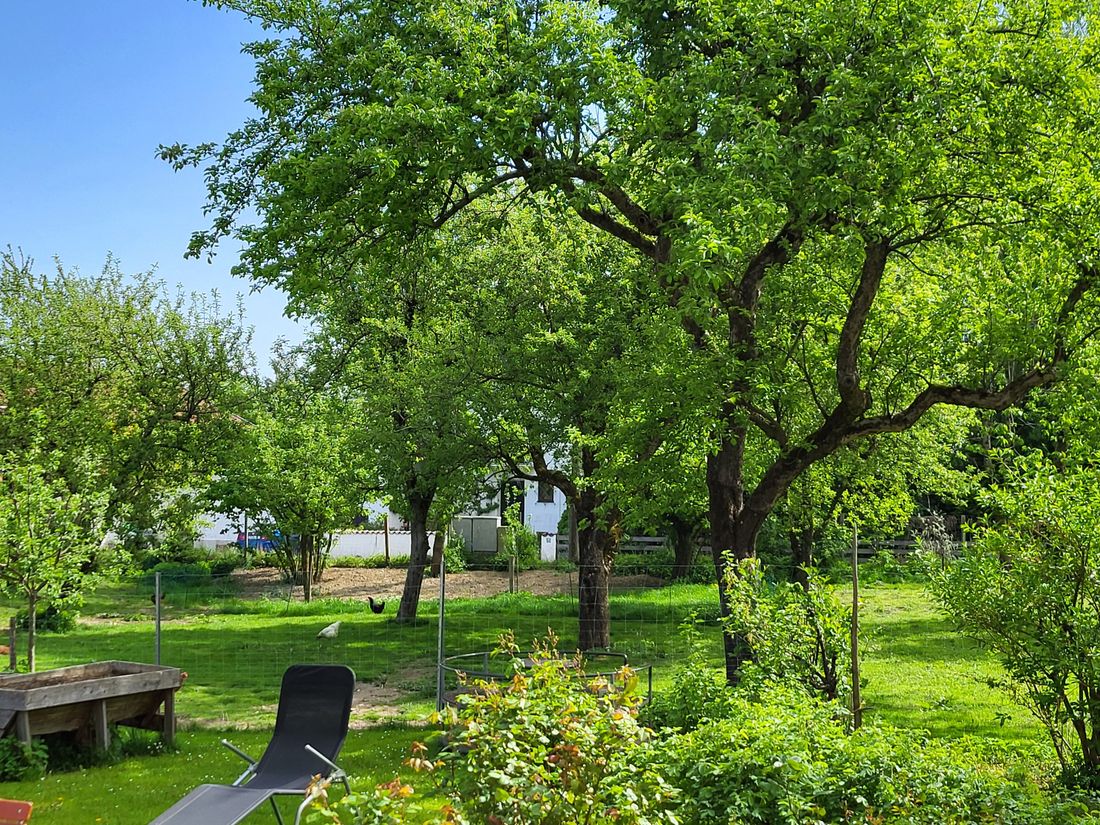 Garten