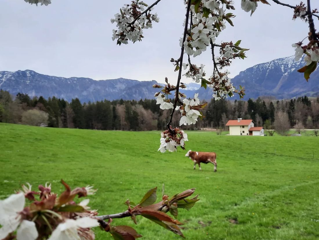Bergpanorama