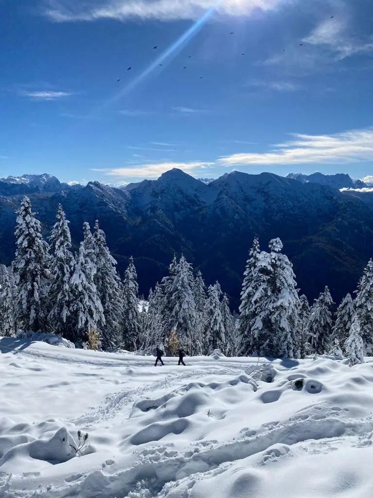 Umgebung_Winter