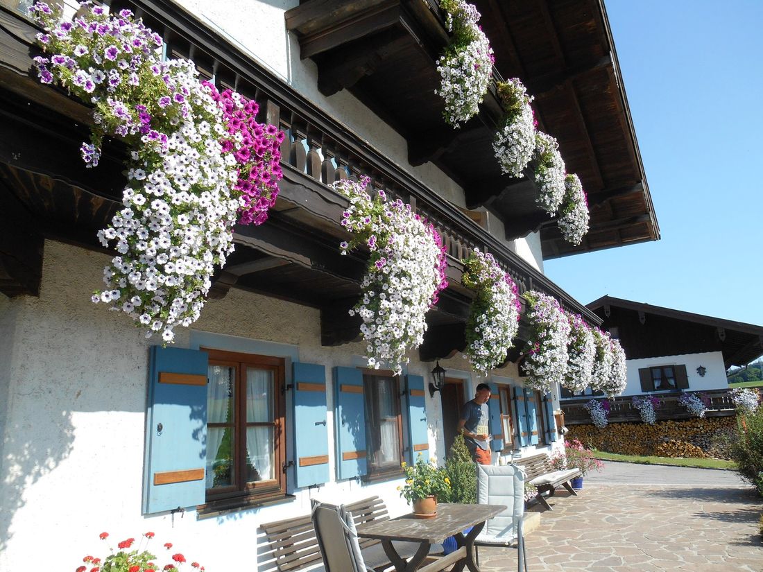 Blumenpracht