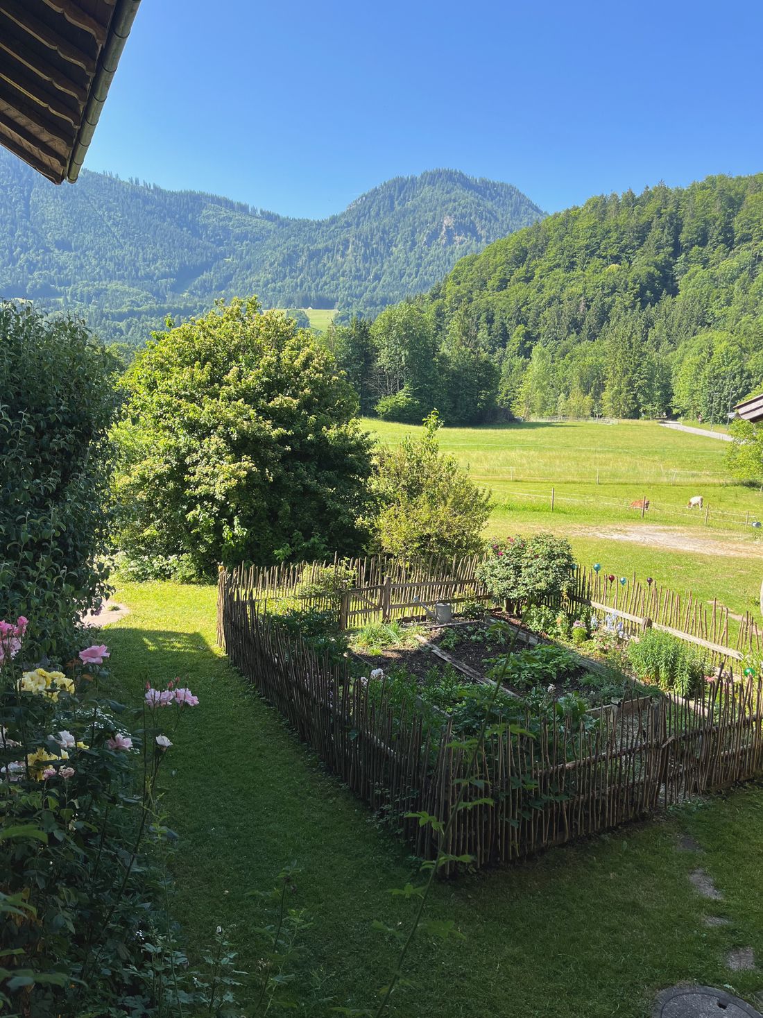 Ausblick in den Innenhof
