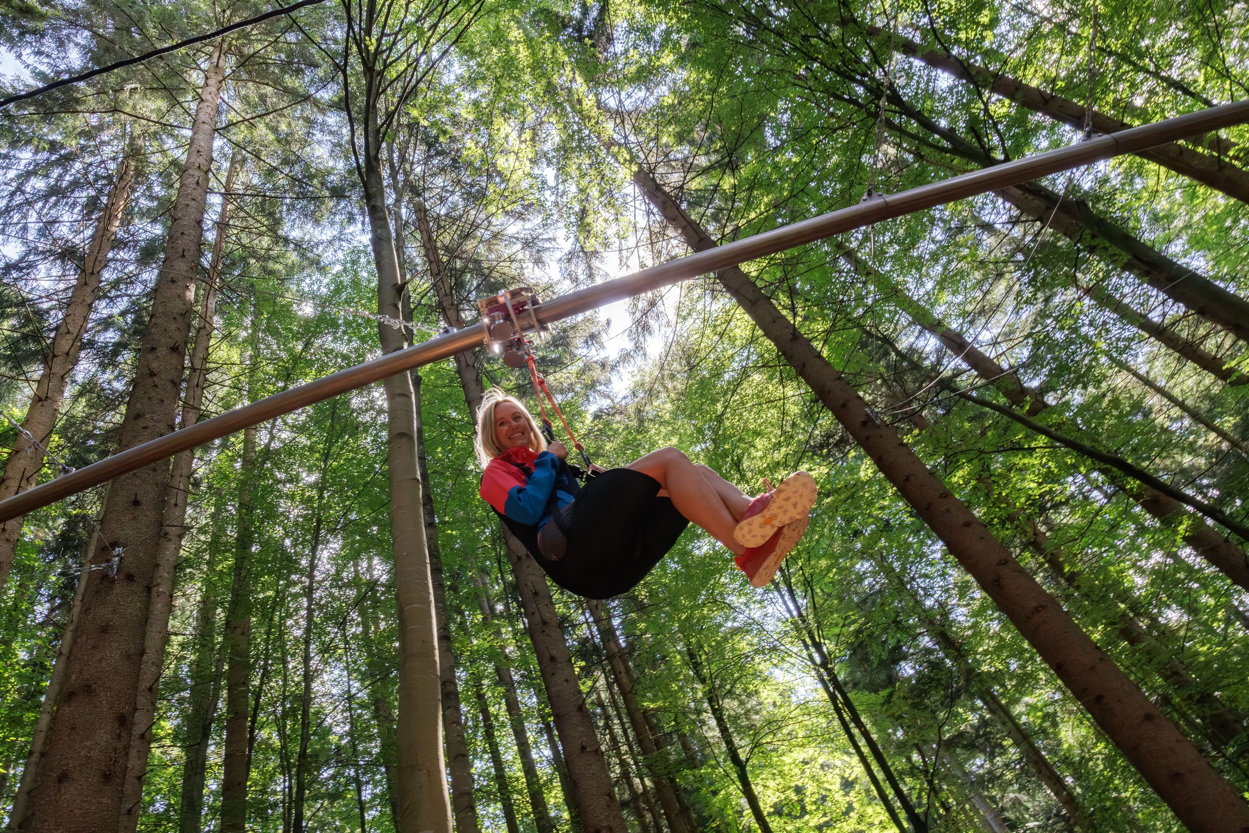 Schweben durch die Wipfel: Die Fly-Line am Unternberg
