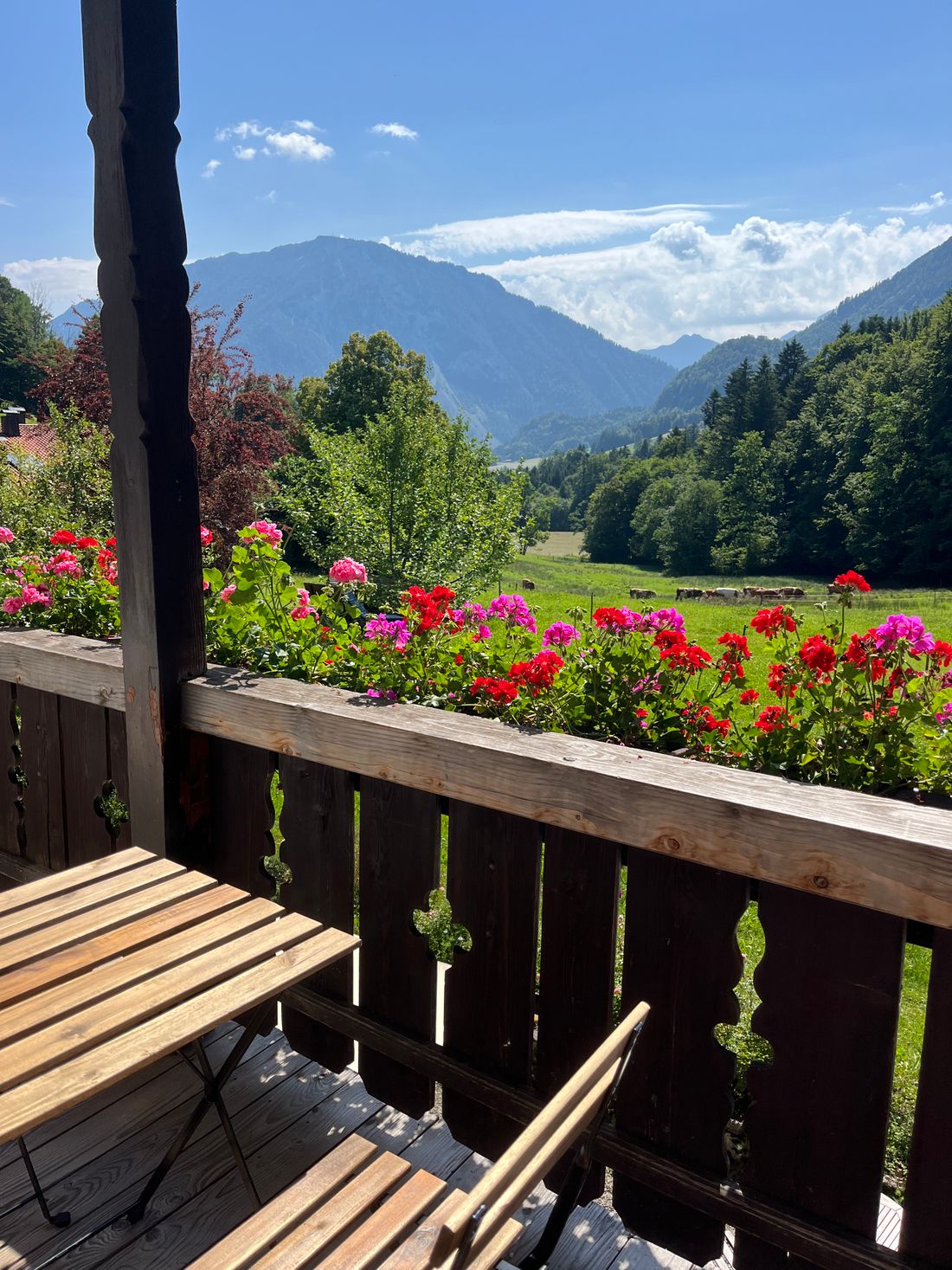 Balkonblick auf den Rauschberg