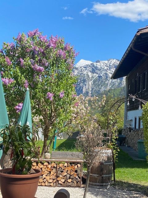 Ausblick
