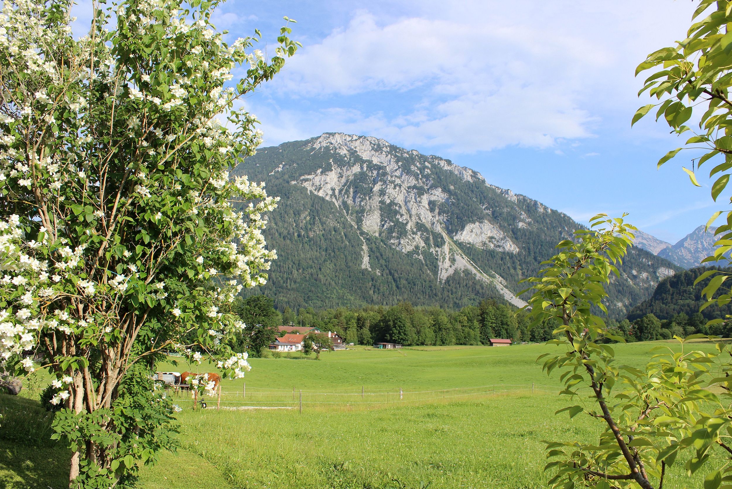 Aussicht zum Rauschberg