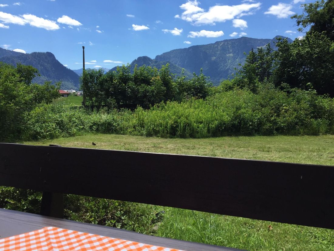 Ausblick