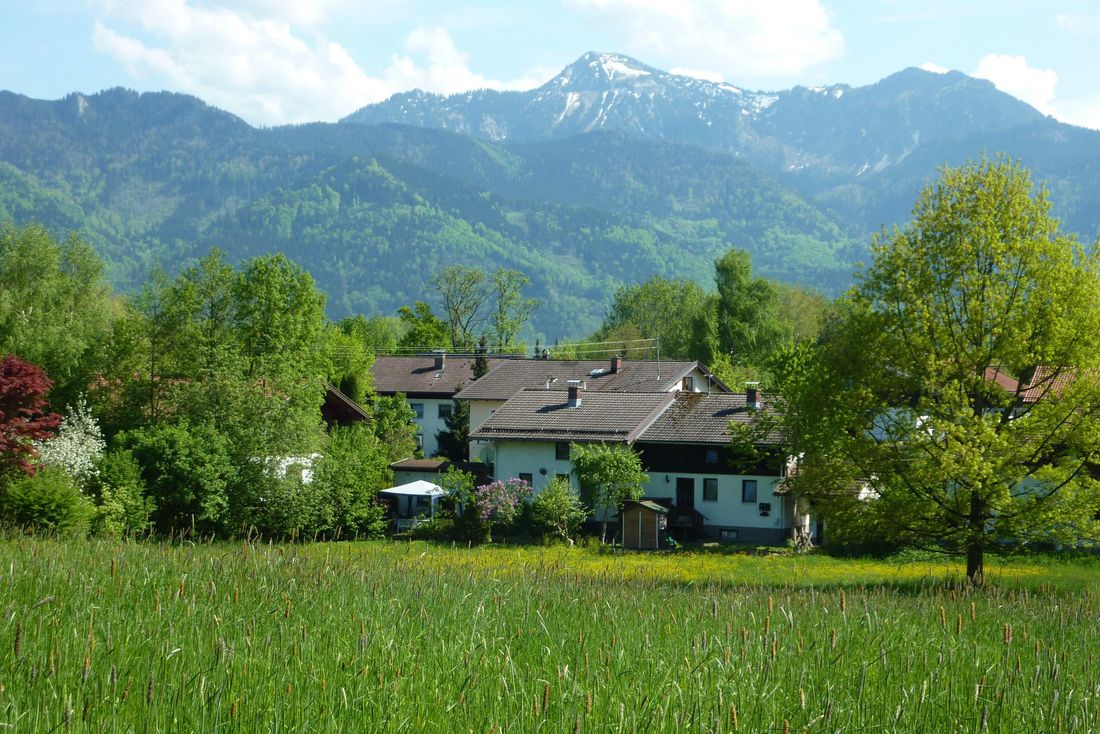 Lage Haus Monika, vorne Wiese(Weide), hinten der Hausberg Hochgern