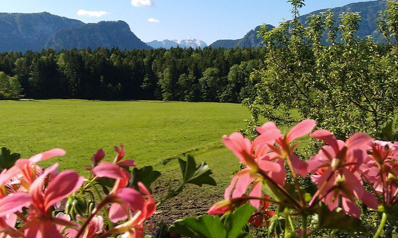 Blick vom Balkon