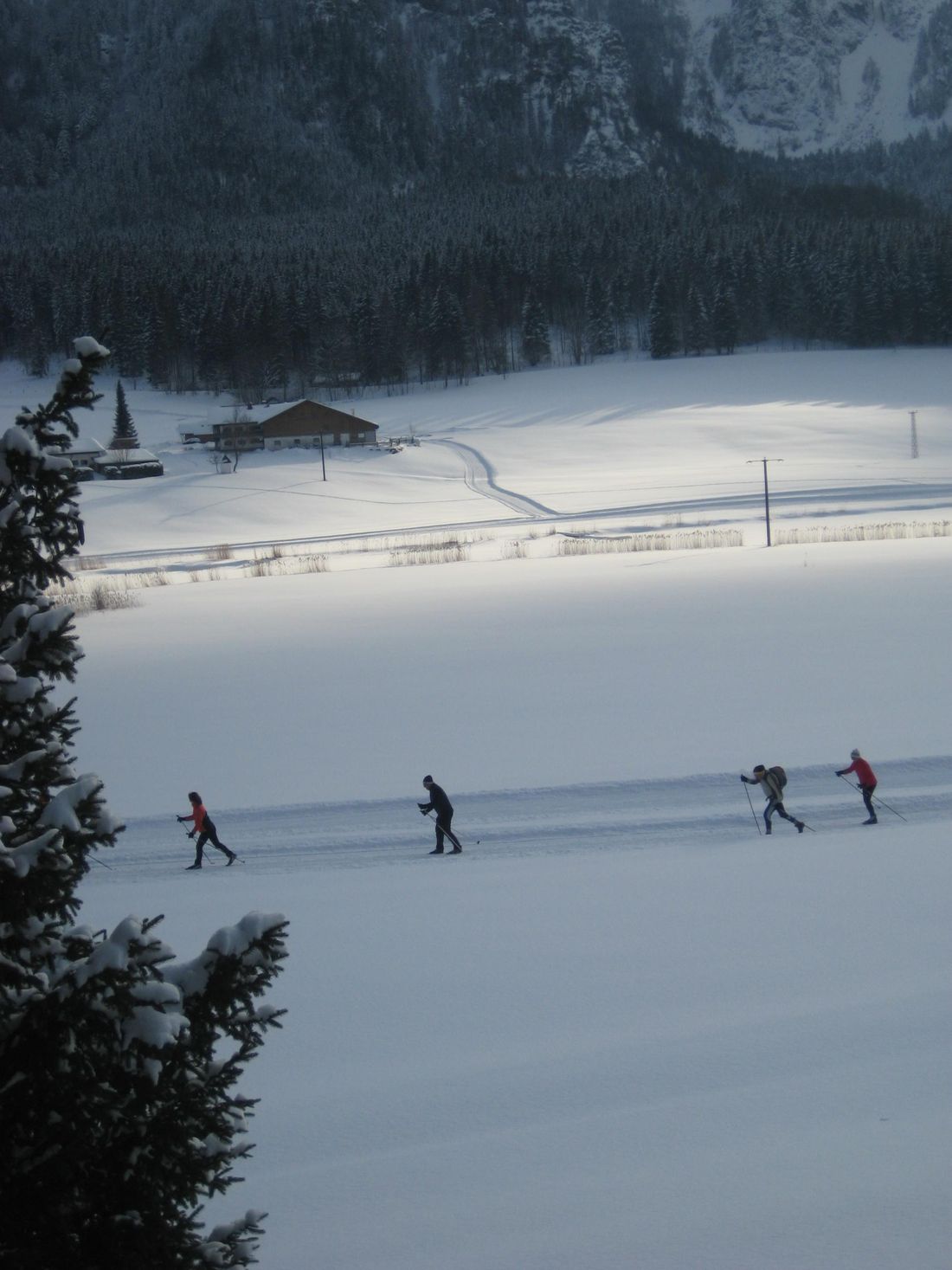 Langlaufen direkt vor dem Haus