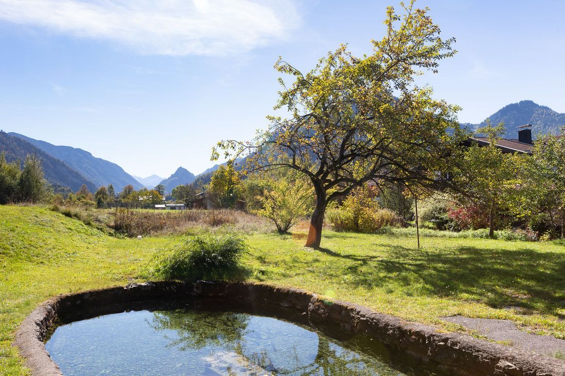 Garten mit Teich