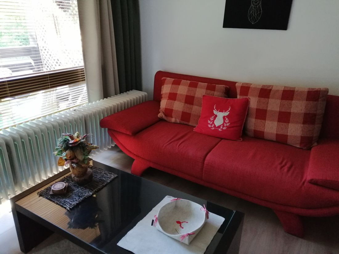 Wohnzimmer mit Schlafcouch