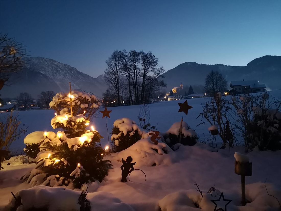 Weihnachten mit Christbaum im Garten