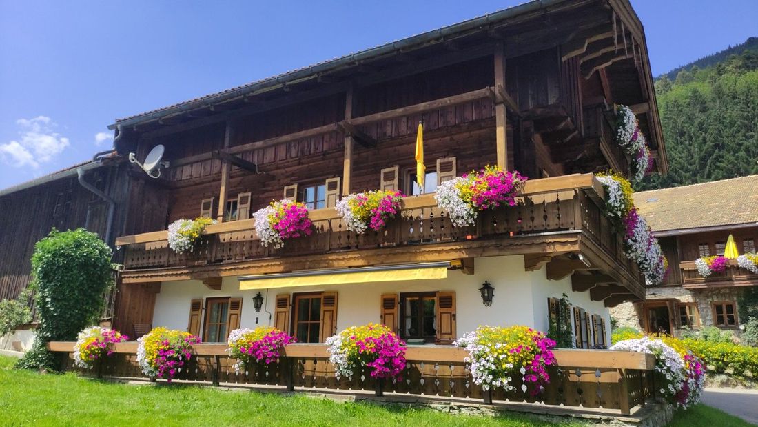 Unser Zuhaus mit Ferienwohnung Adlernest in voller Blütenpracht