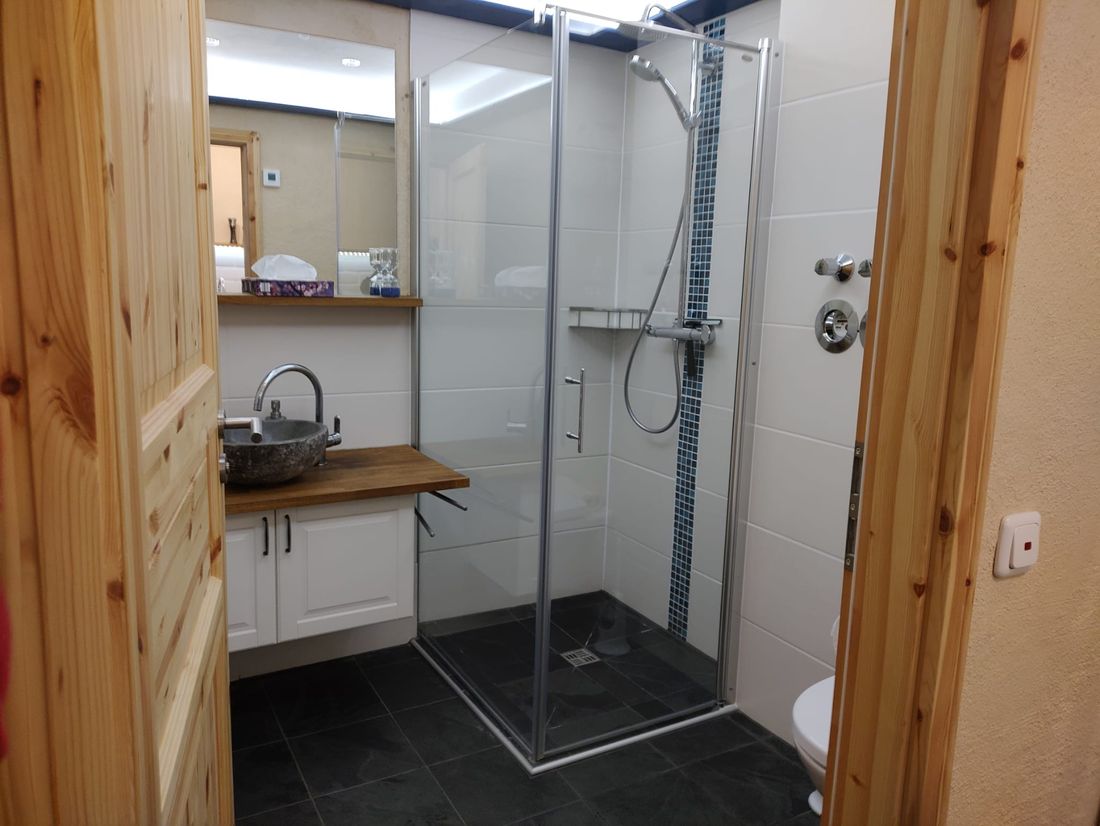 Badezimmer mit Douche-Waschbecken-WC