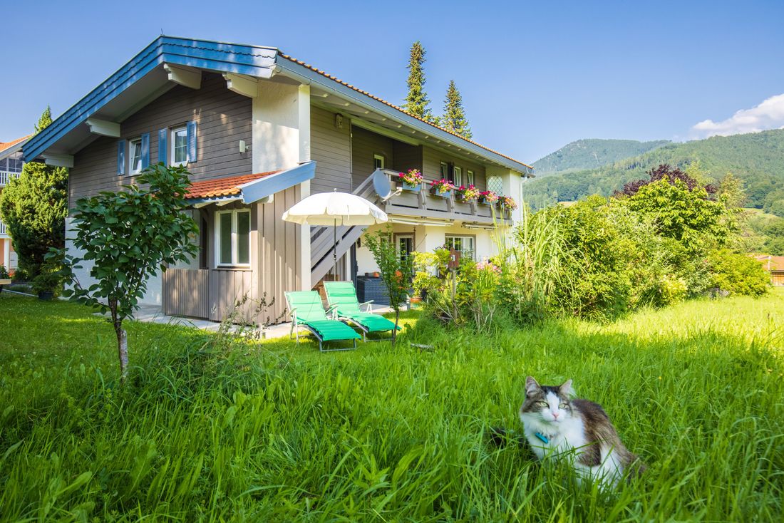 Garten mit Katze "Kleiner"
