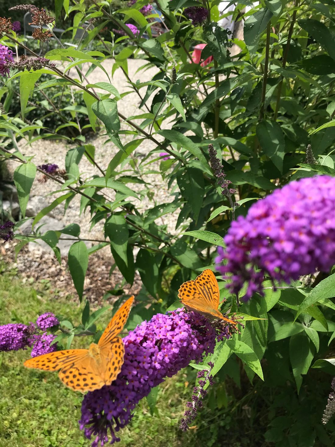 Garten