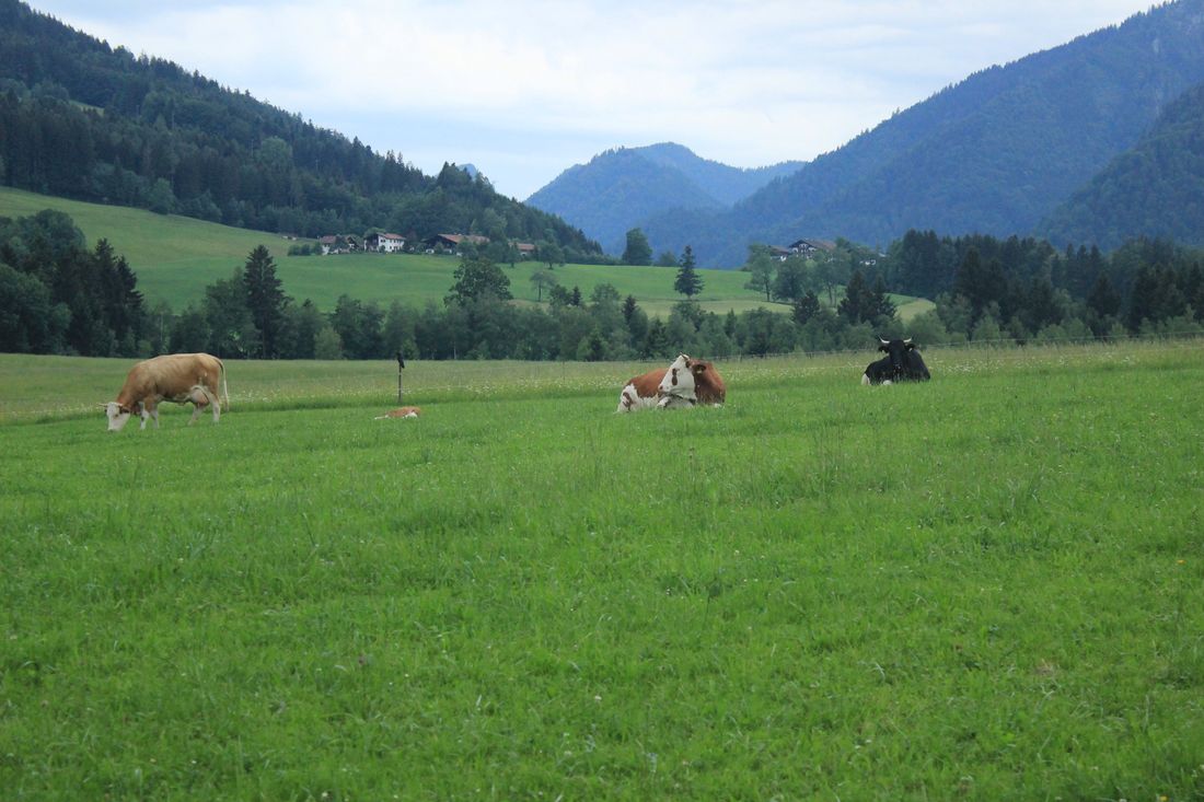 Blick nach Westen