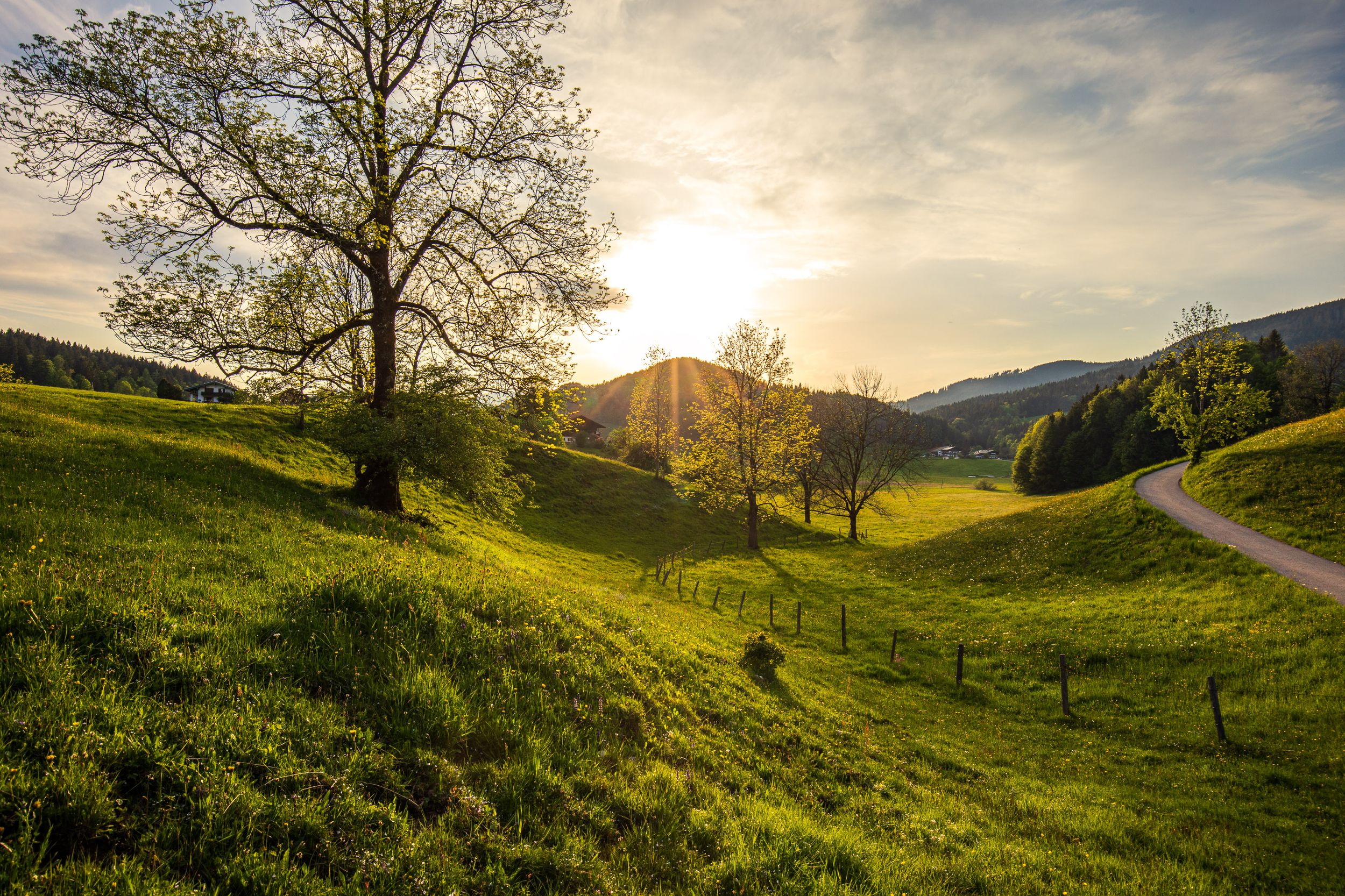 Blumenwiesen Ruhpolding
