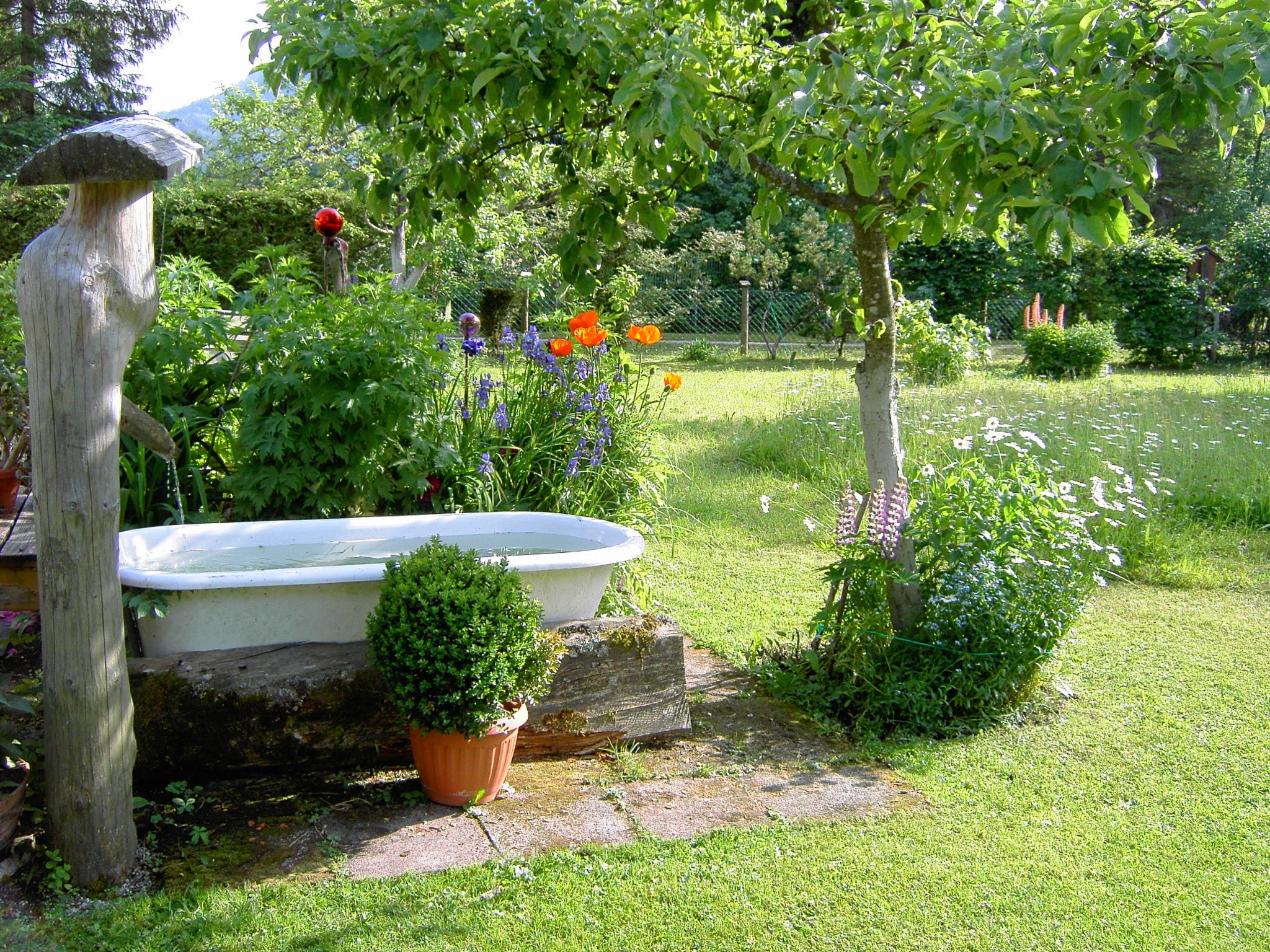 Garten mit Liegewiese