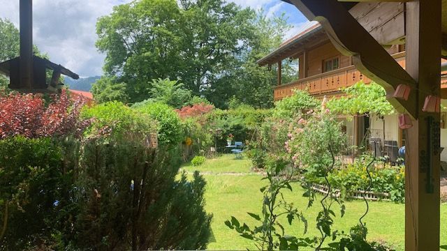 Blick vom Gartenhaus