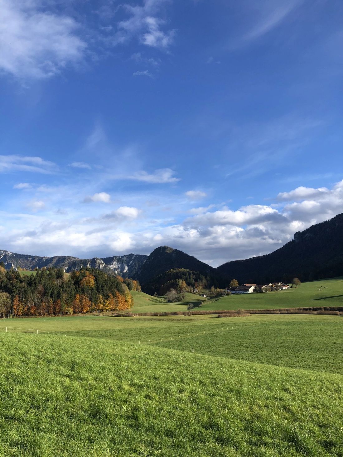 Umgebung_Sommer