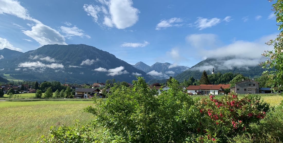 Blick im Sommer
