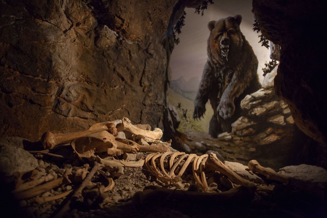 Naturkundemuseum Siegsdorf