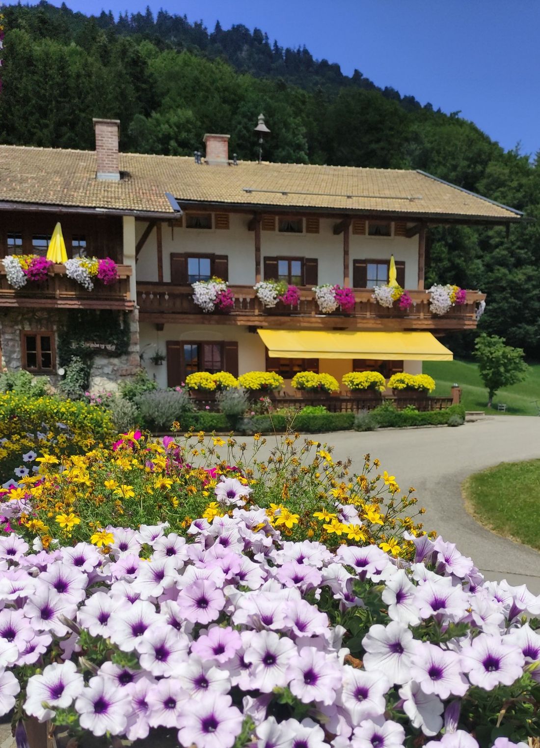 Blick aufs Bauernhaus mit Ferienwohnungen Alpenpanorama, Puppenstübchen, Talblick in voller Blütenpracht