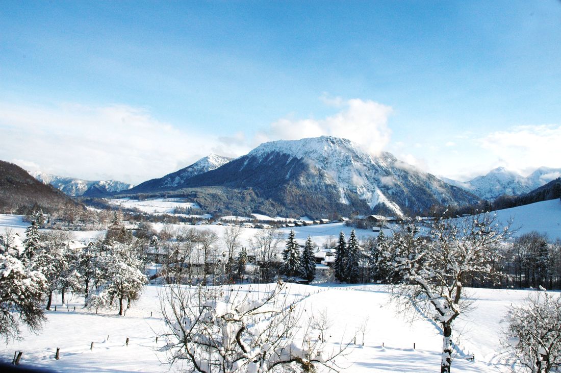 Blick von der Ferienwohnung