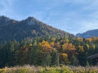 Herbstausblick