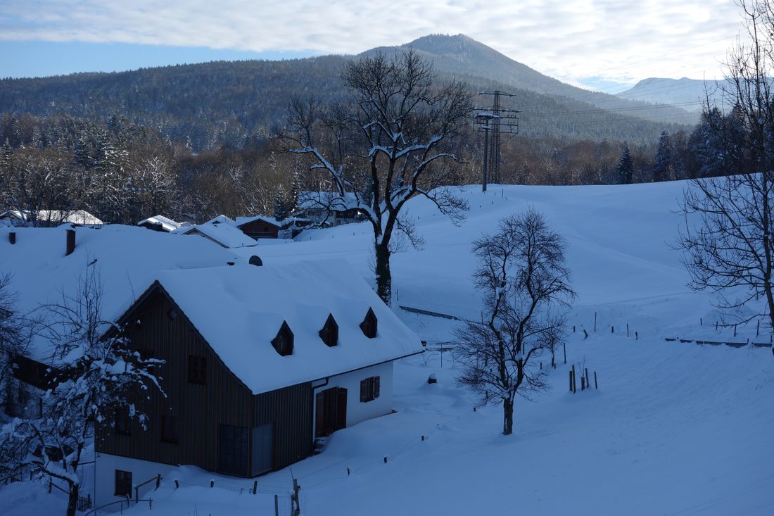 im Winterkleid