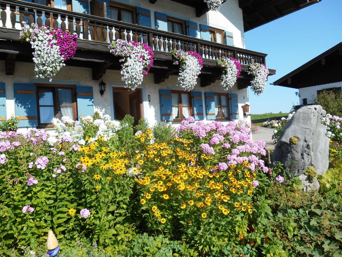 wunderschöner Blumengarten