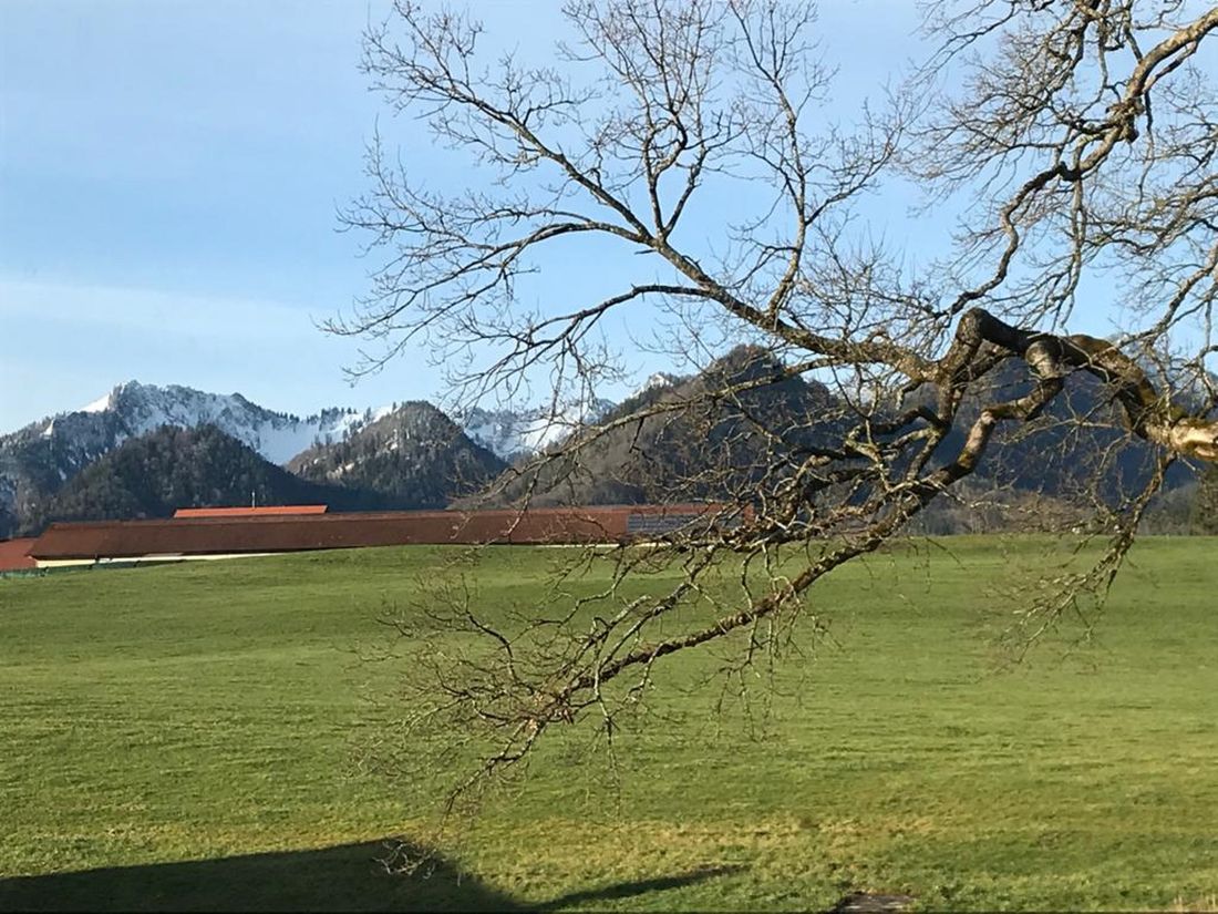 Ausblick auf Hochfelln
