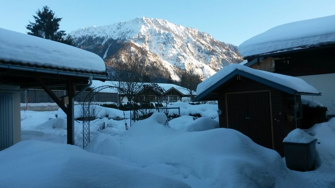Blick auf den Rauschberg vom Garten