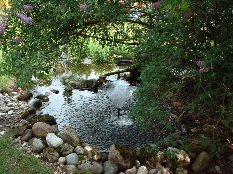Teich