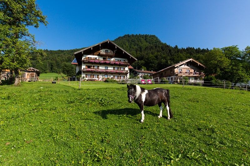 Herzlich willkommen am Langerbauer Hof