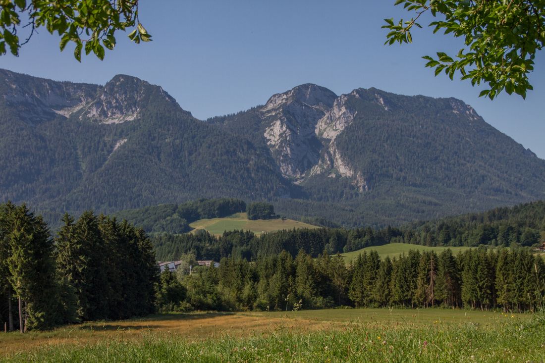 Ausblick