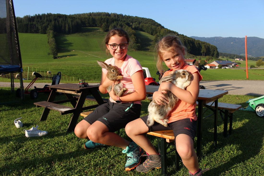 Unsere Hasen