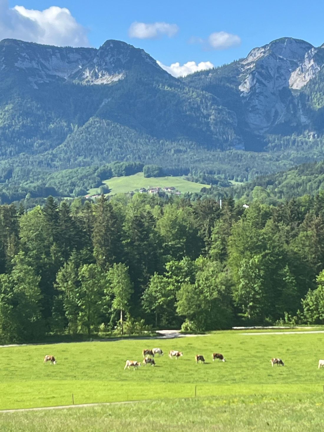 Bergblick - Naturblick